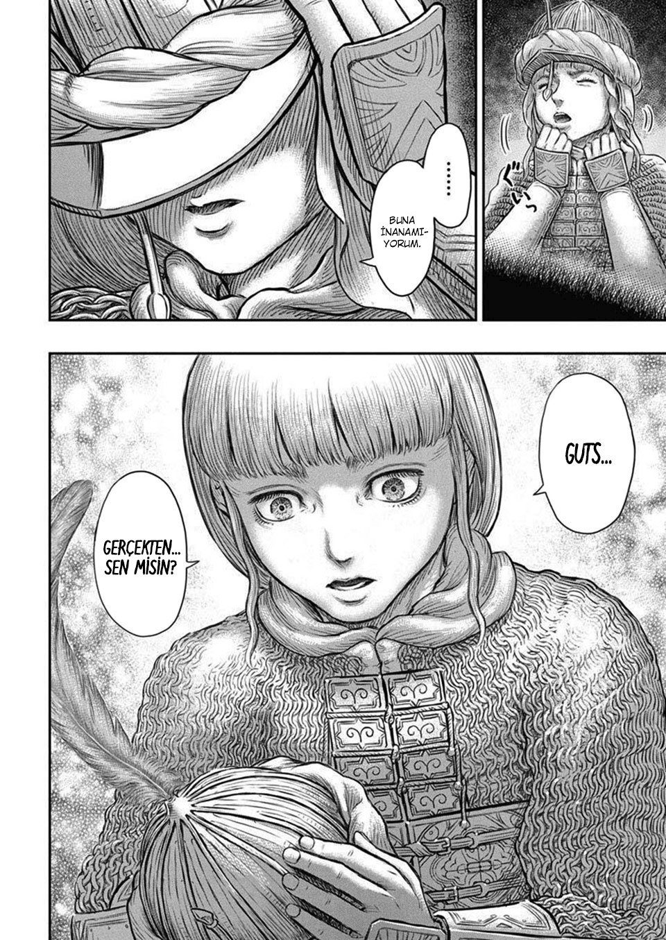 Read Berserk TR Manga Online