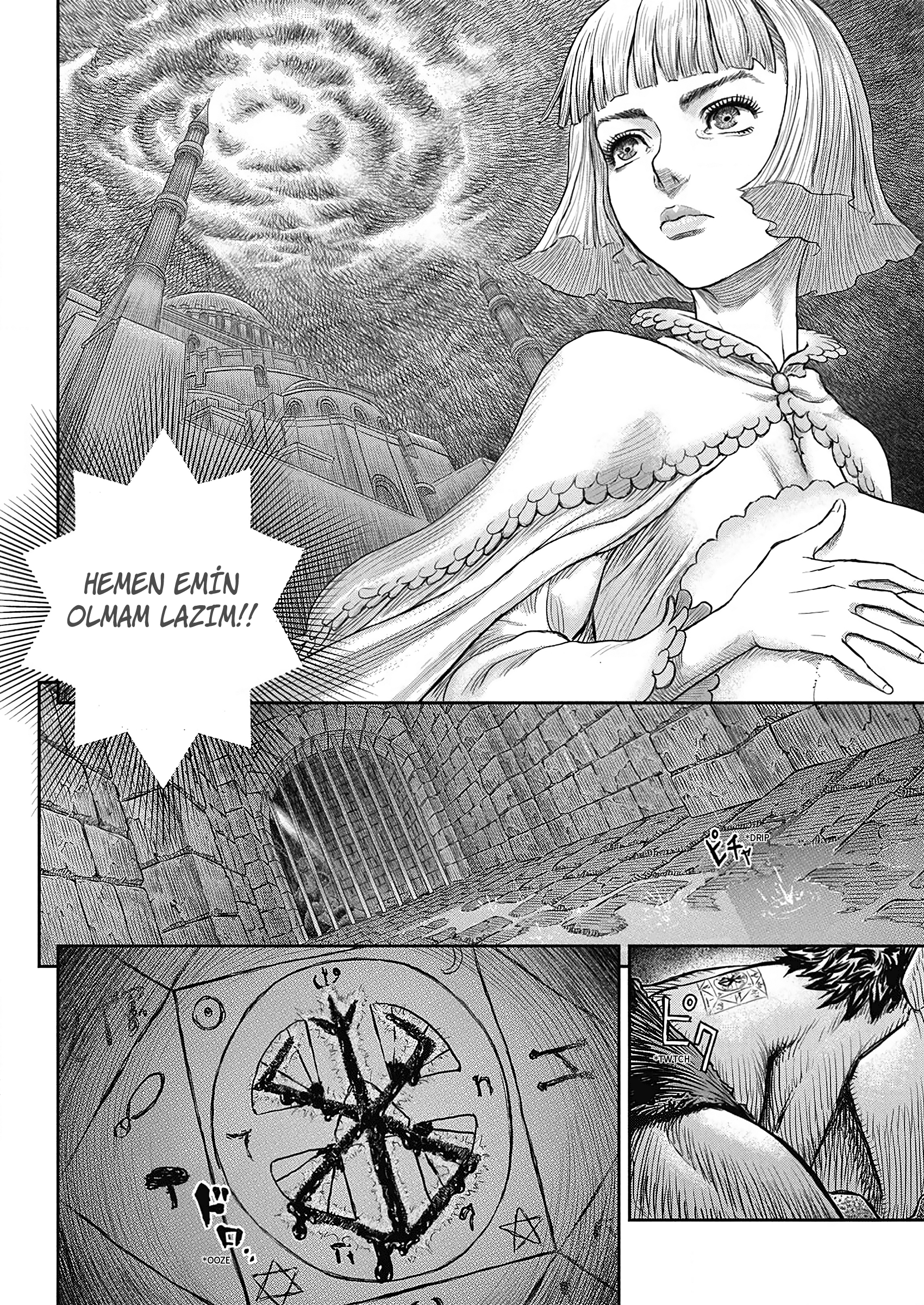 Read Berserk TR Manga Online