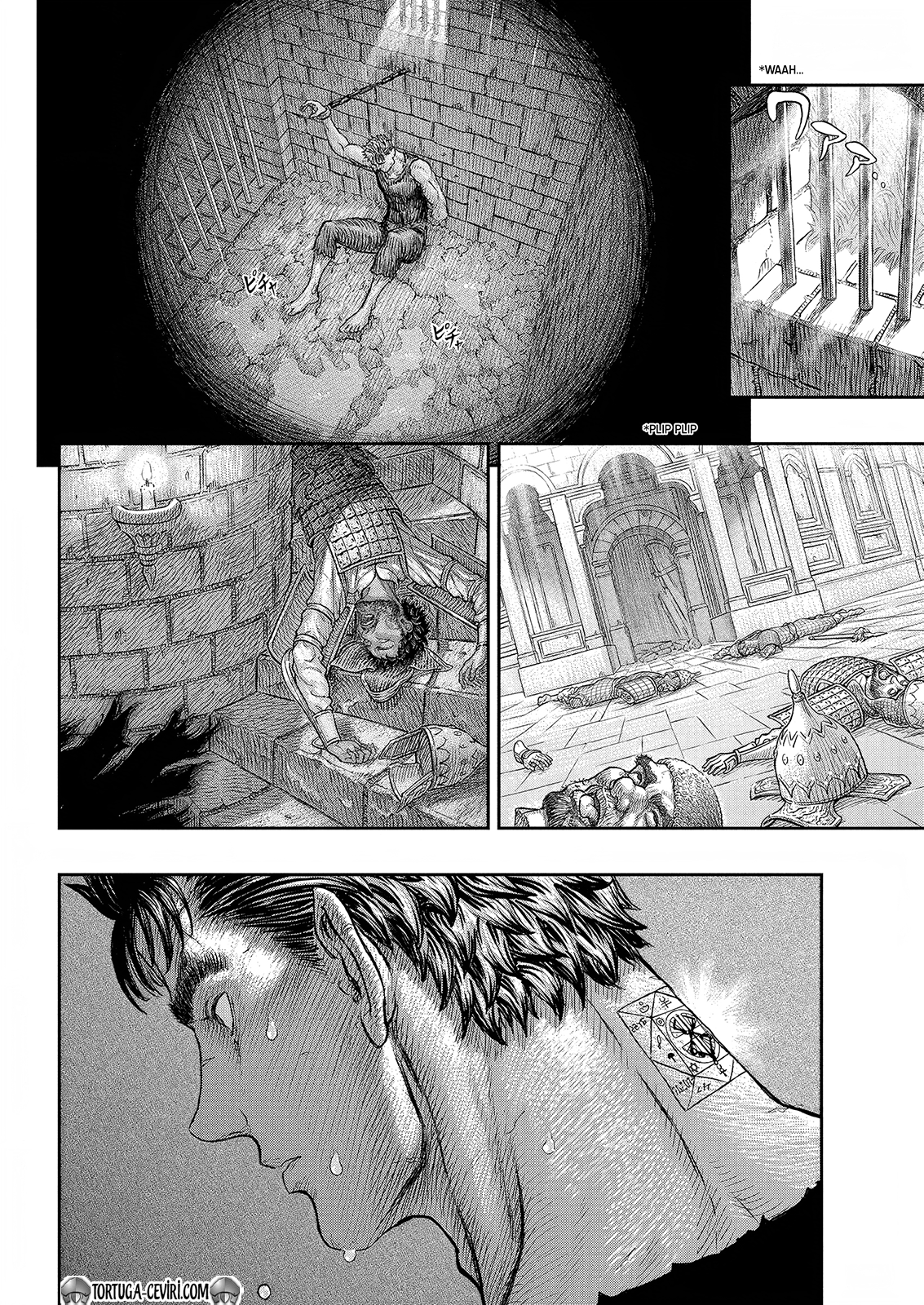 Read Berserk TR Manga Online