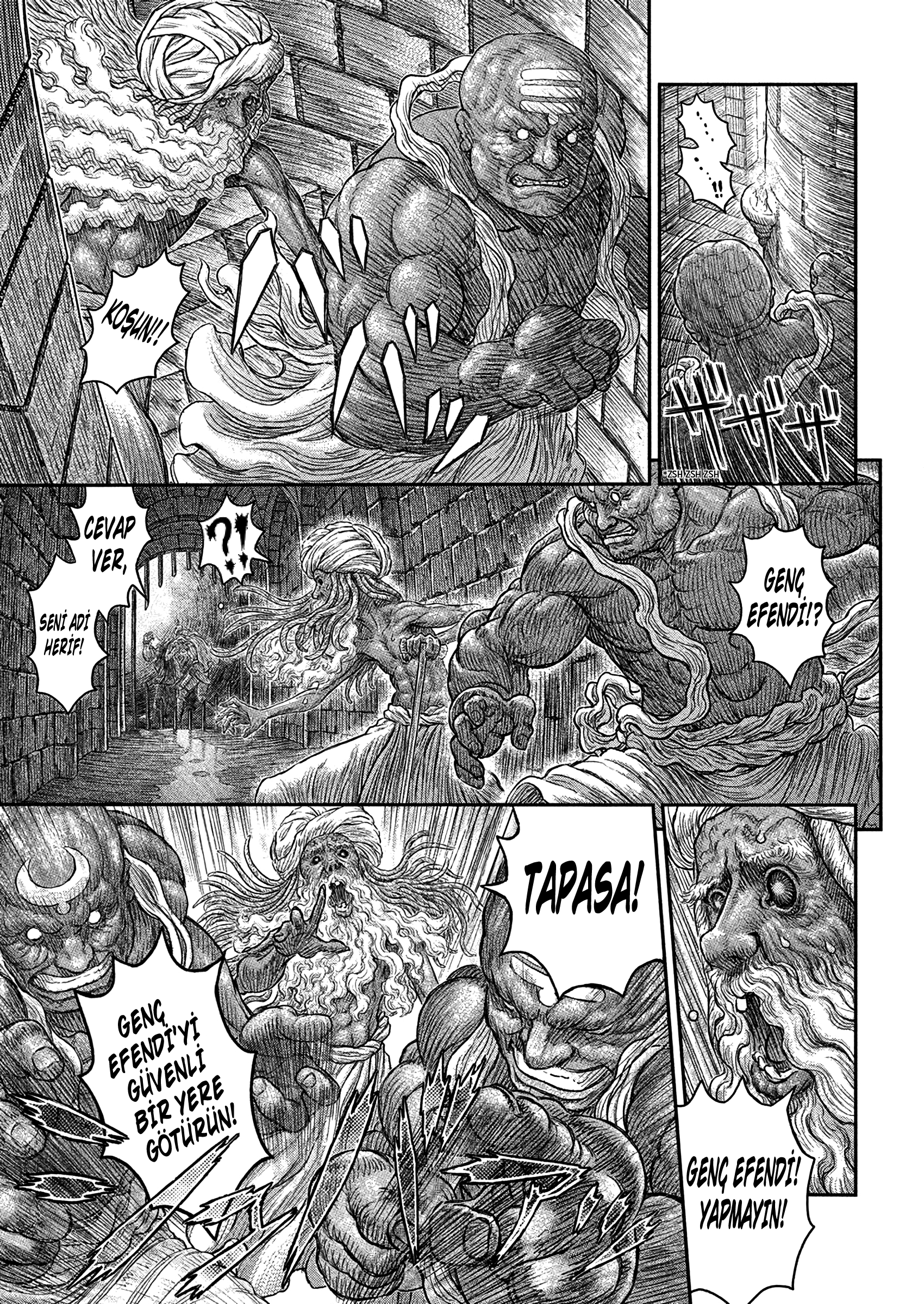 Read Berserk TR Manga Online