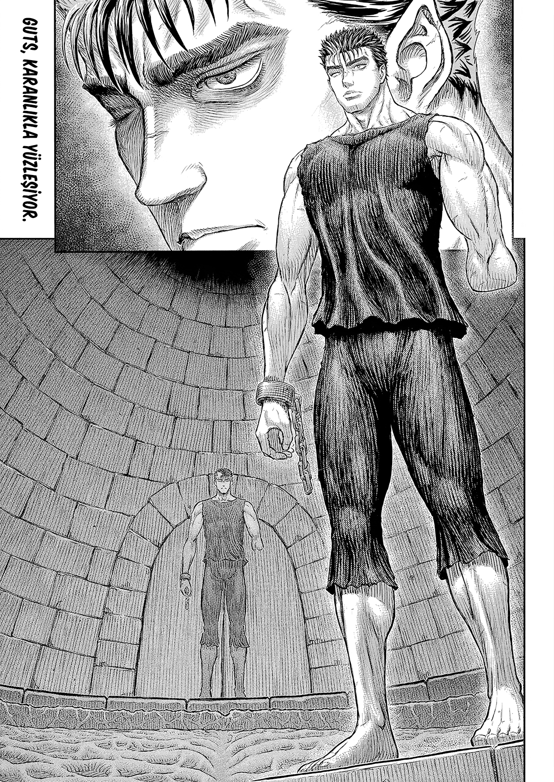 Read Berserk TR Manga Online