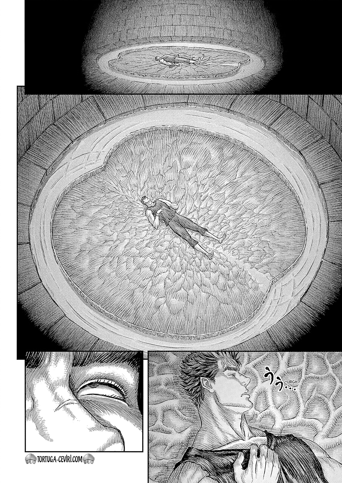 Read Berserk TR Manga Online