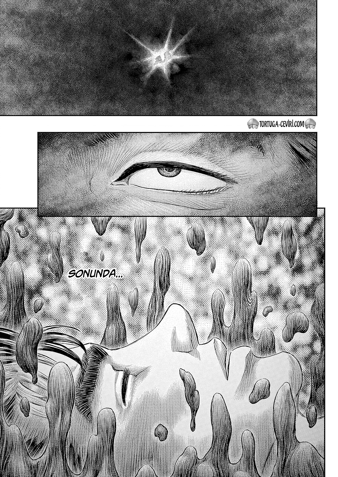 Read Berserk TR Manga Online
