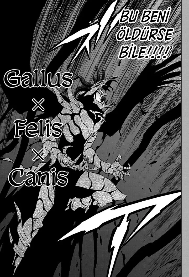 Read Black Clover Tr Manga Online