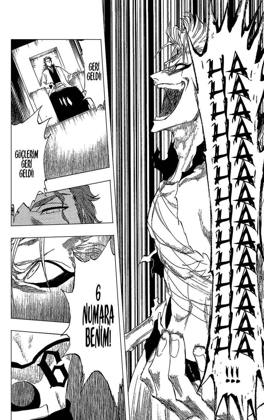 Read Bleach TR Manga Online