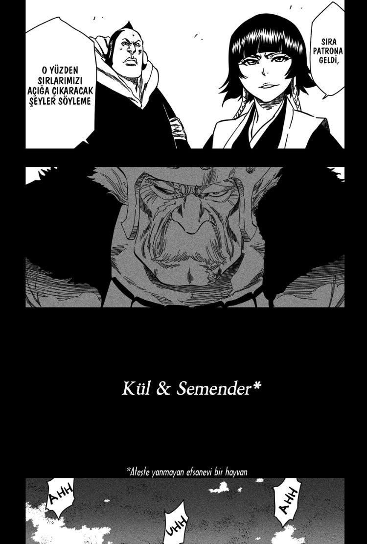 Read Bleach TR Manga Online