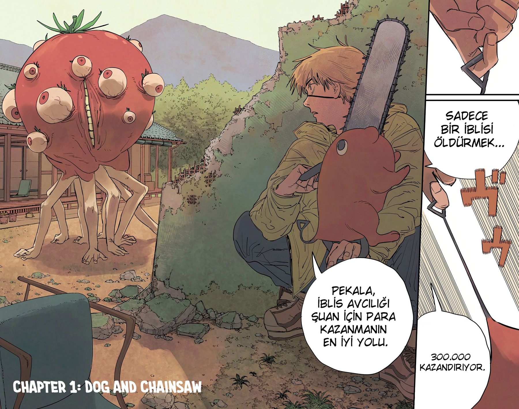 Read Chainsaw Man TR Manga Online