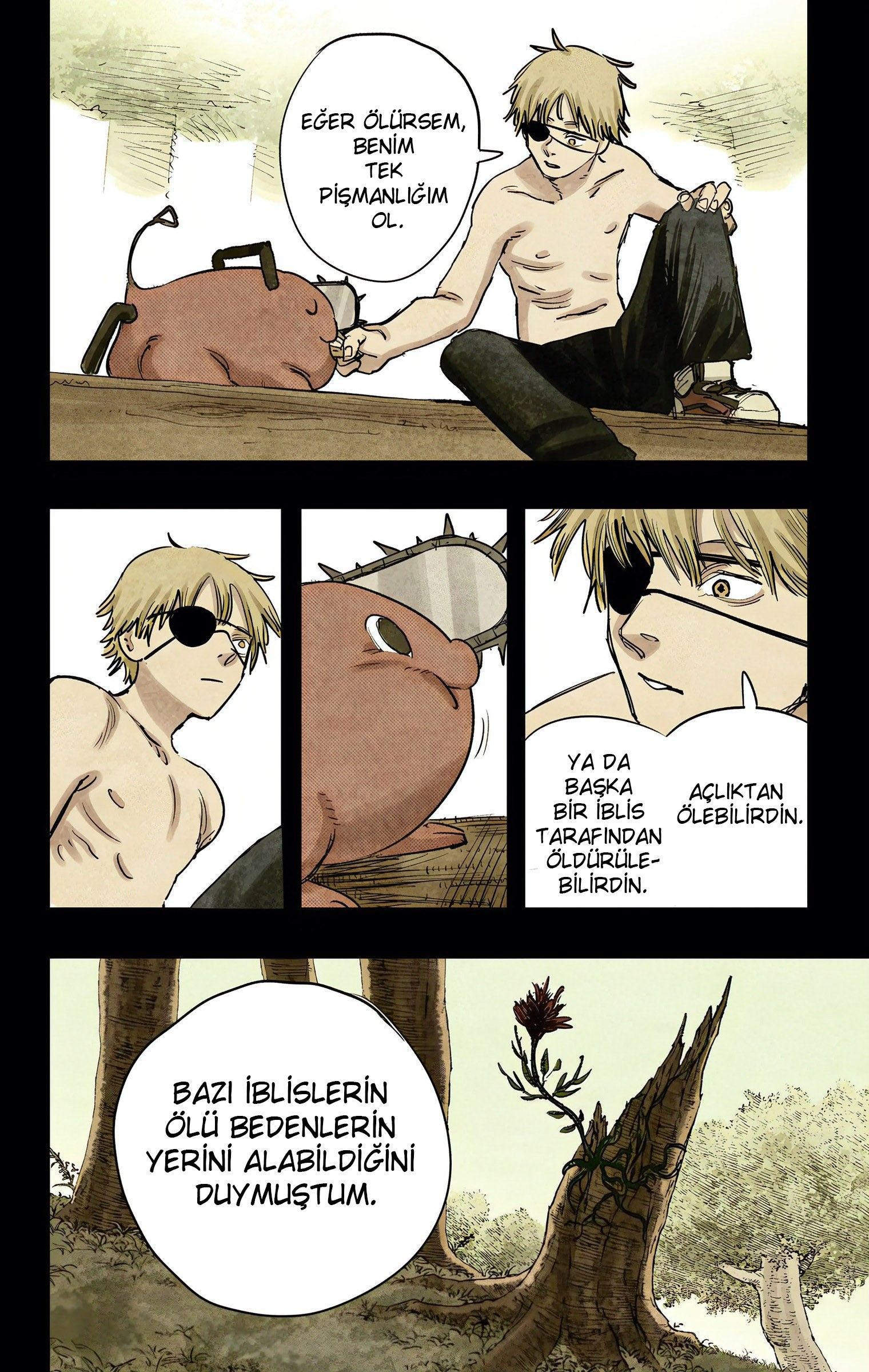 Read Chainsaw Man TR Manga Online
