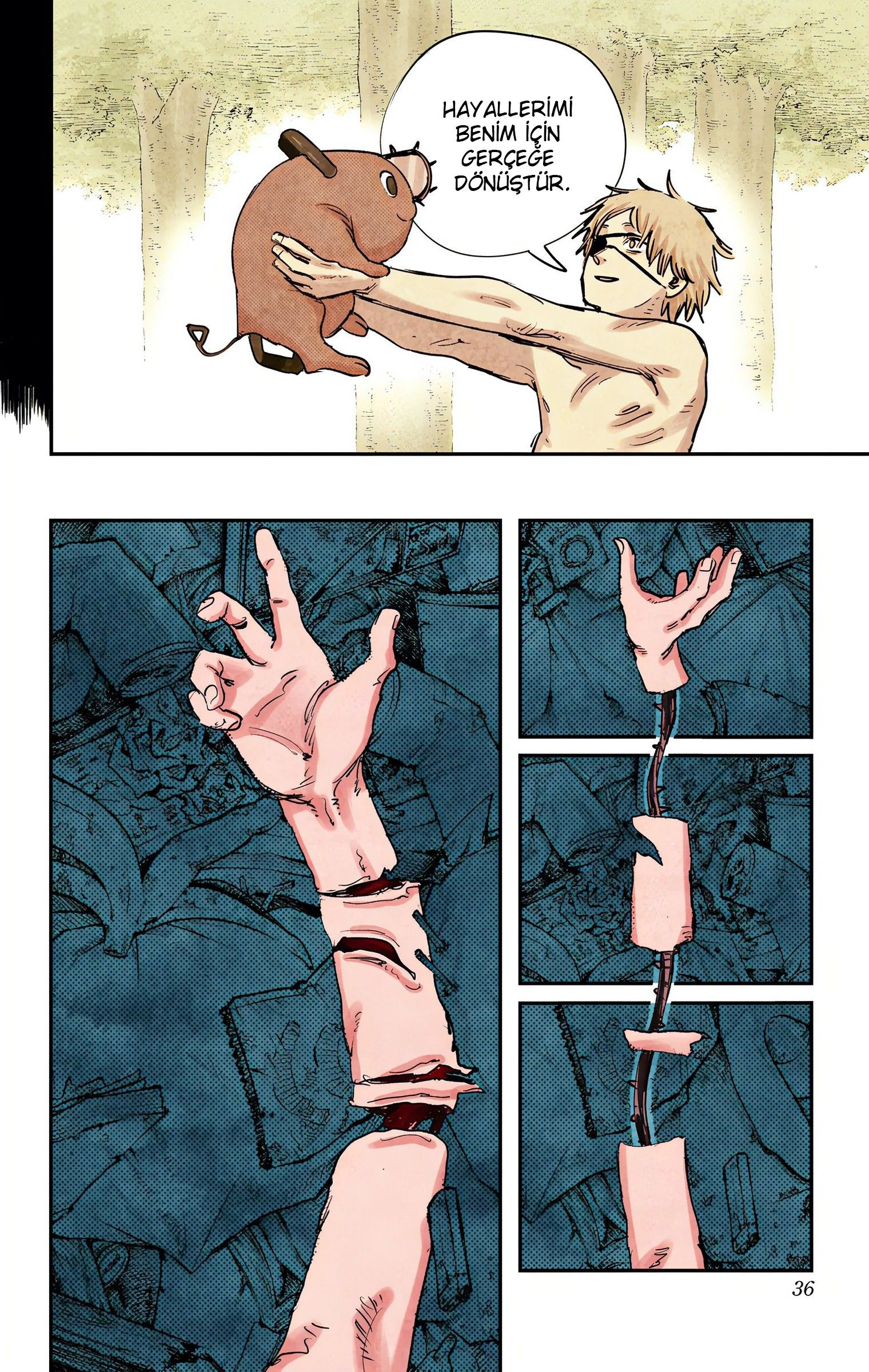 Read Chainsaw Man TR Manga Online