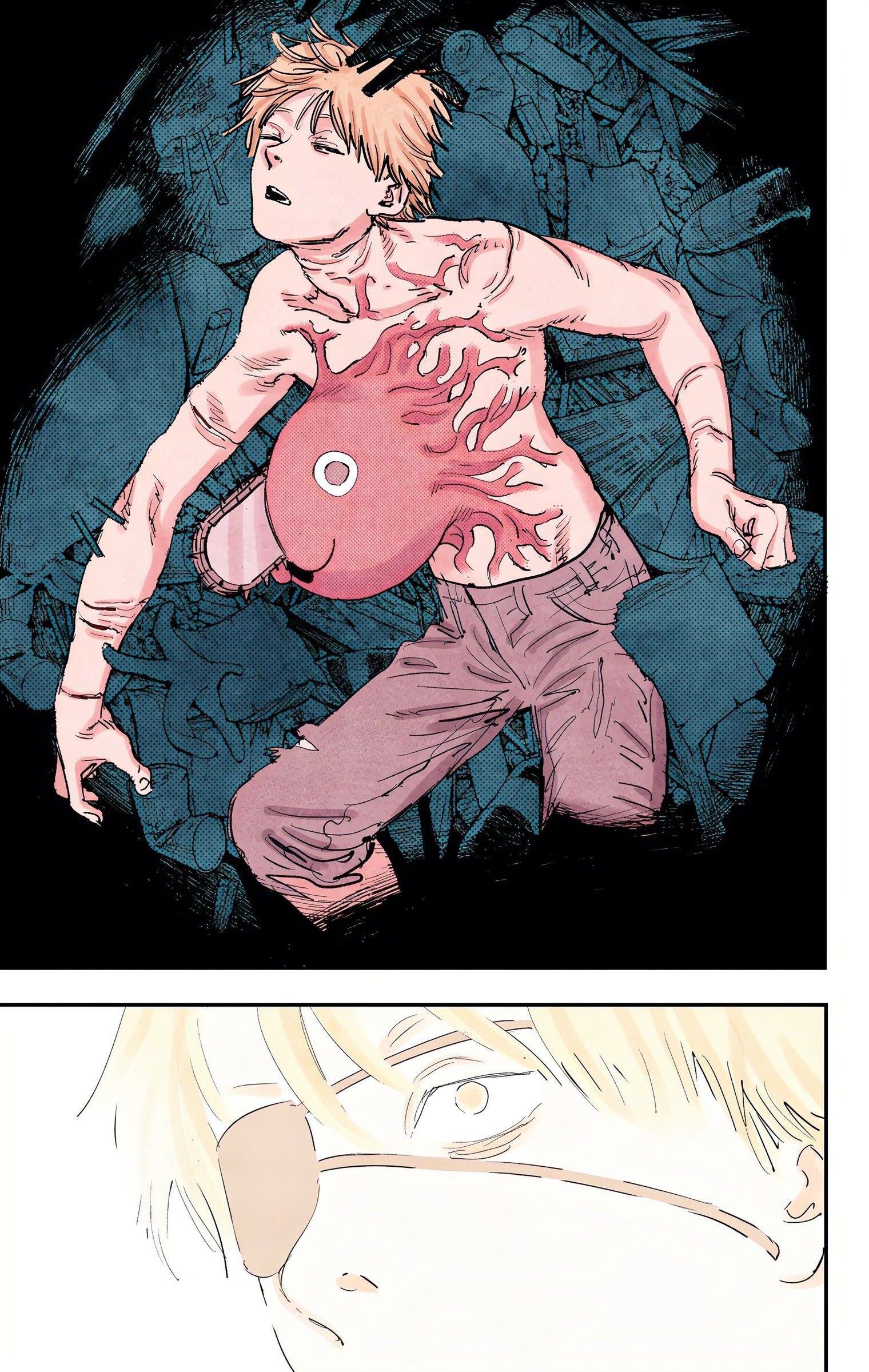 Read Chainsaw Man TR Manga Online