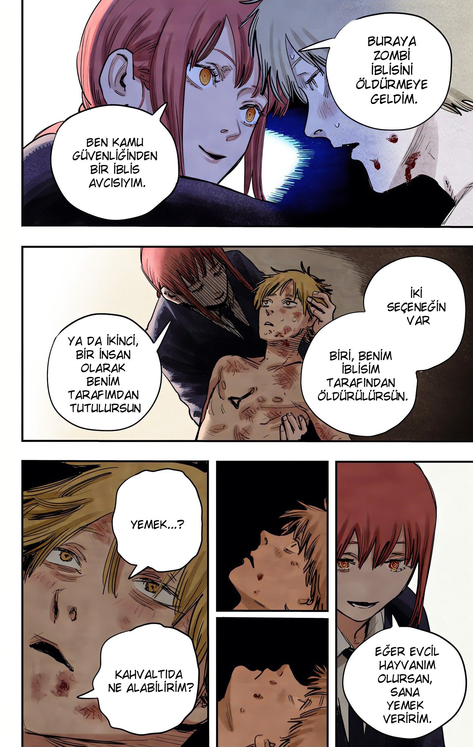Read Chainsaw Man TR Manga Online