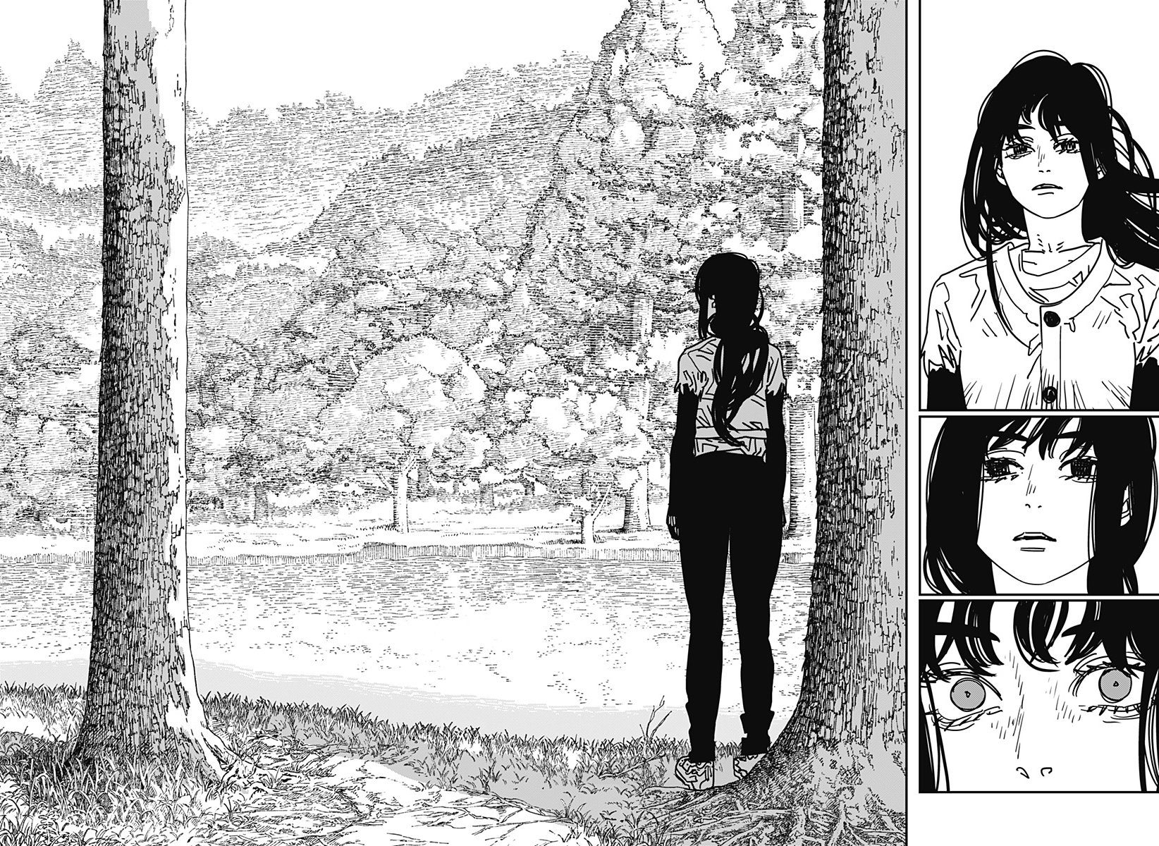 Read Chainsaw Man TR Manga Online
