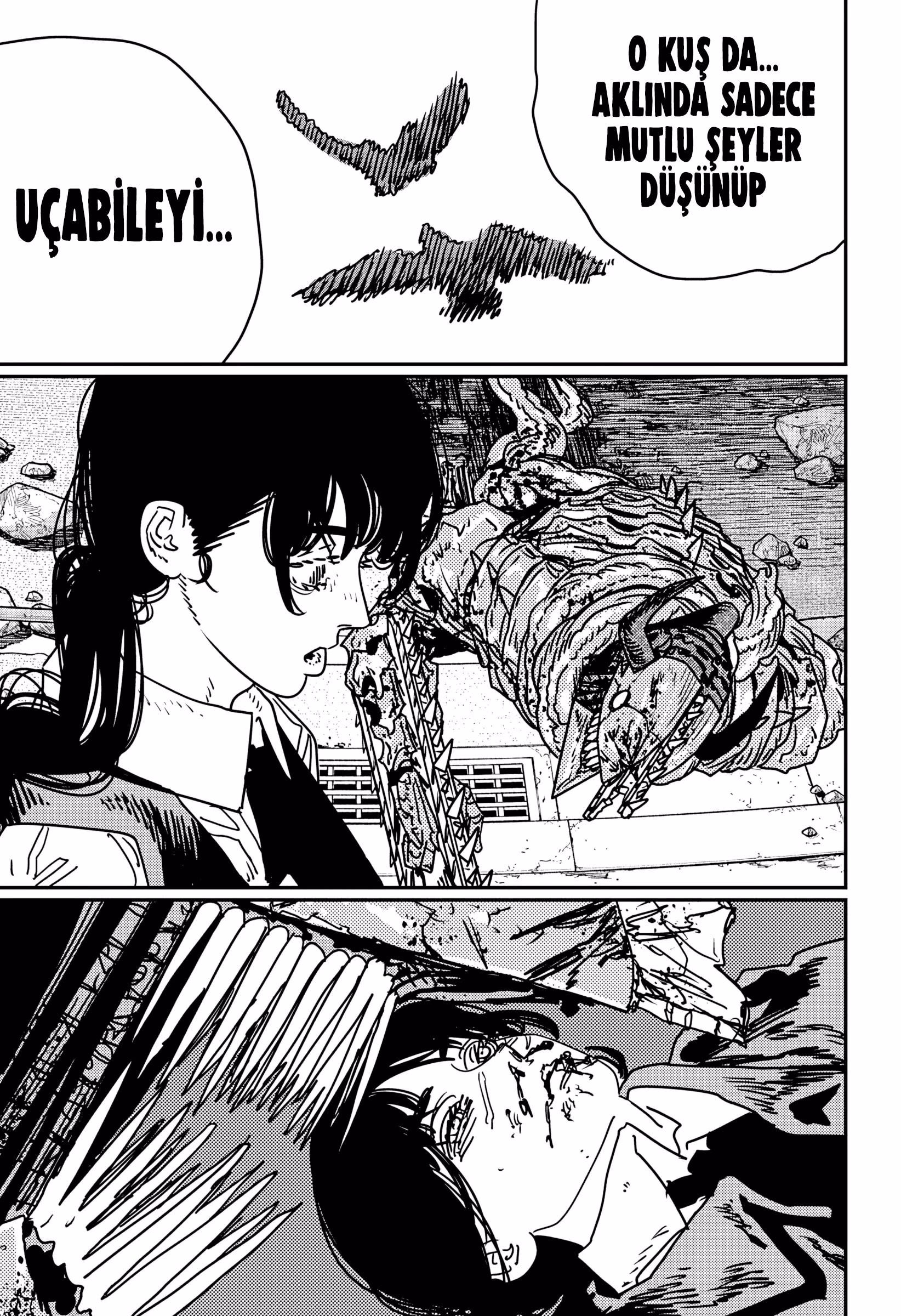 Read Chainsaw Man TR Manga Online