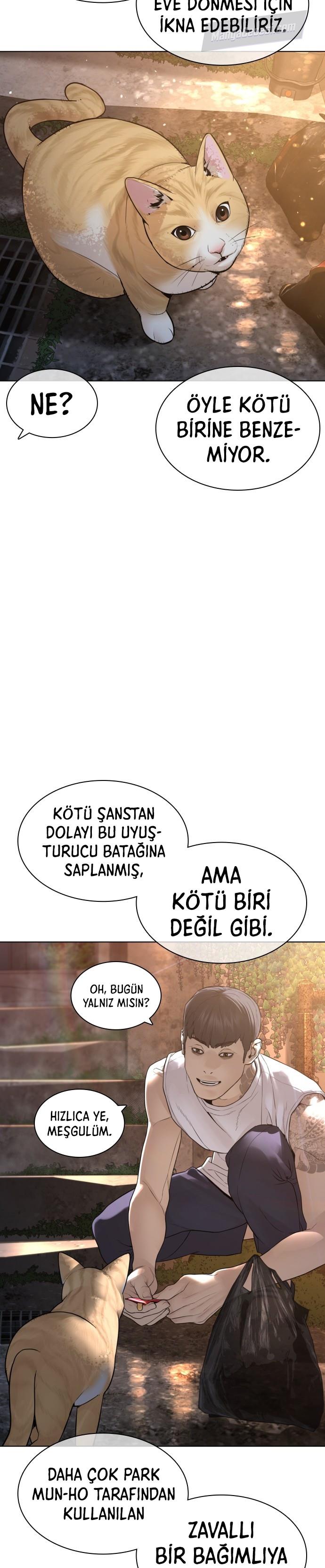 Read How To Fight TR Manga Online