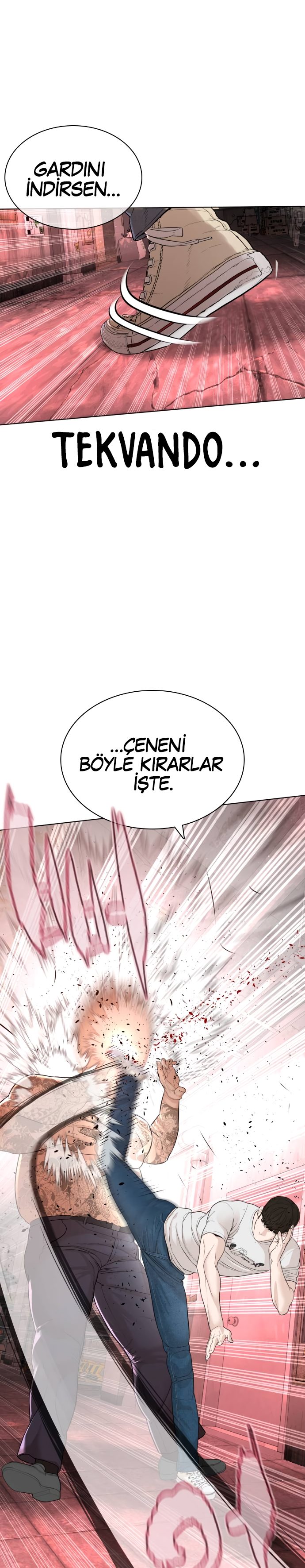 Read How To Fight TR Manga Online