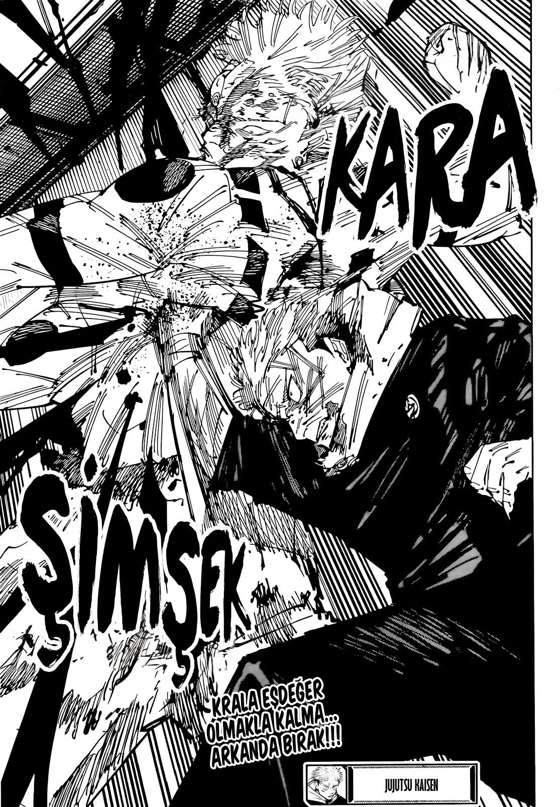 Read Jujutsu Kaisen TR Manga Online