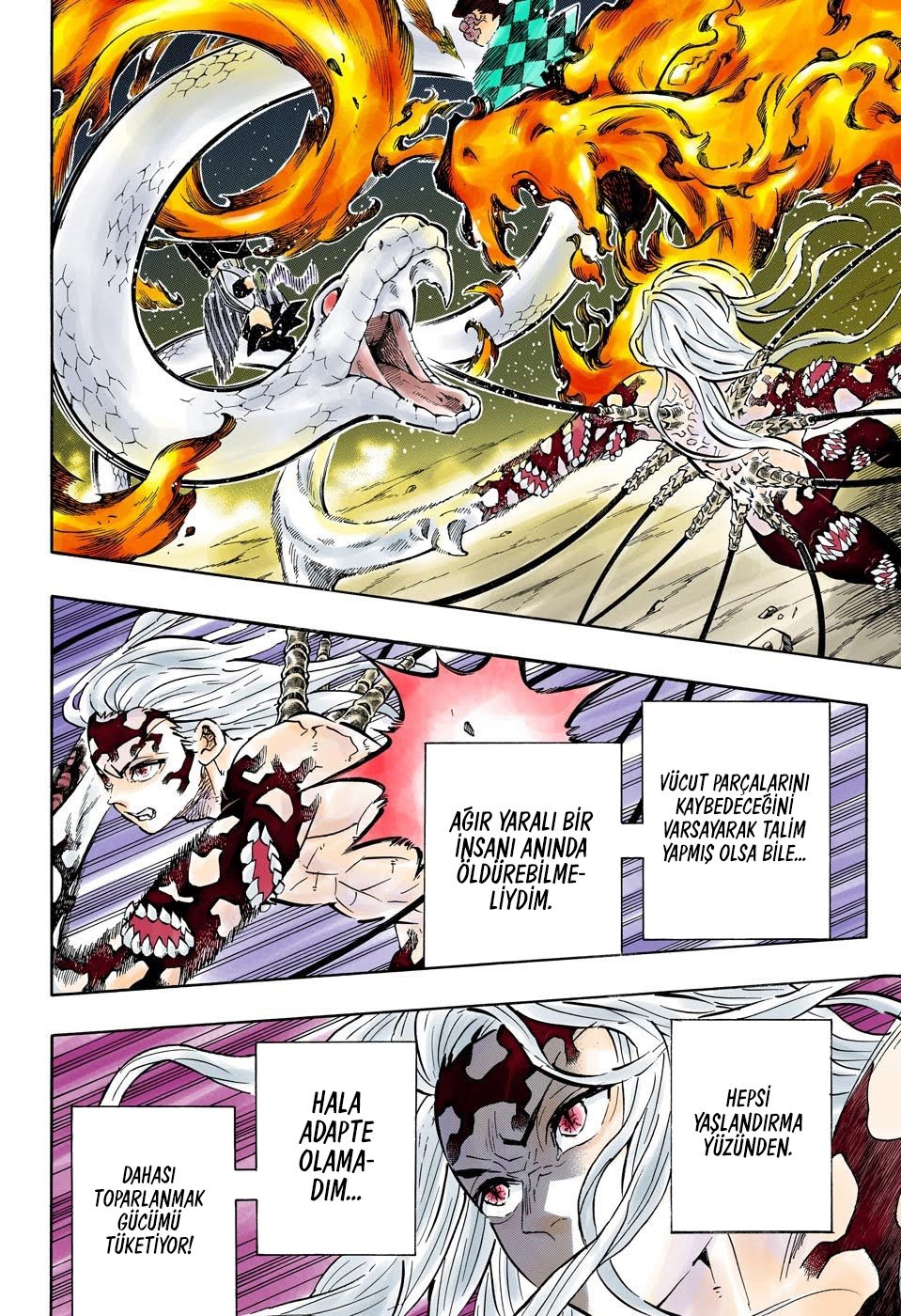 Read Kimetsu no Yaiba Tr Manga Online