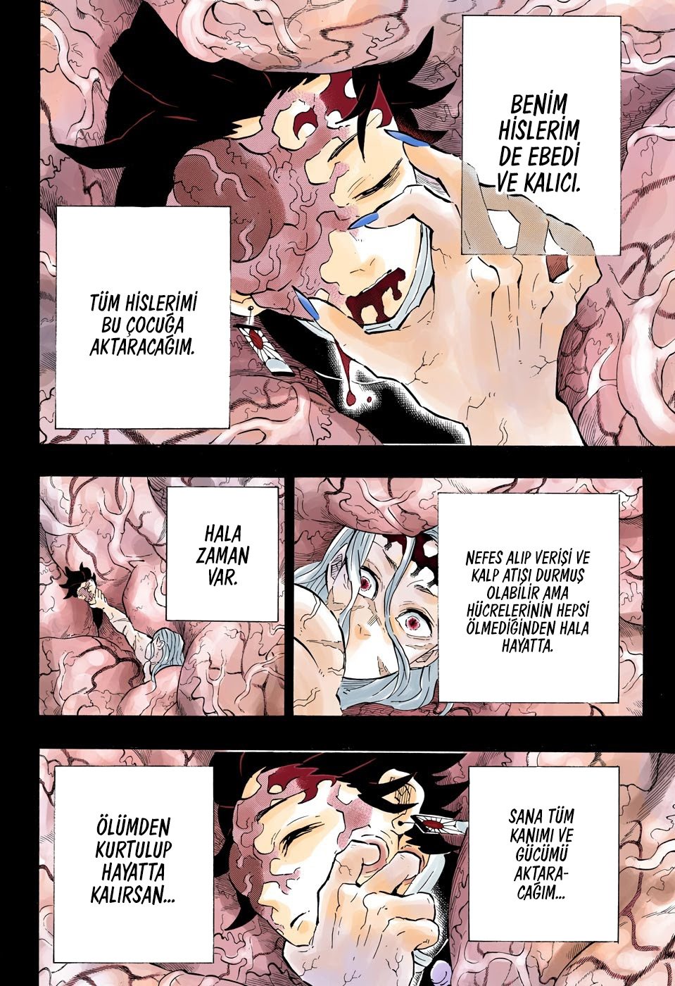 Read Kimetsu no Yaiba Tr Manga Online