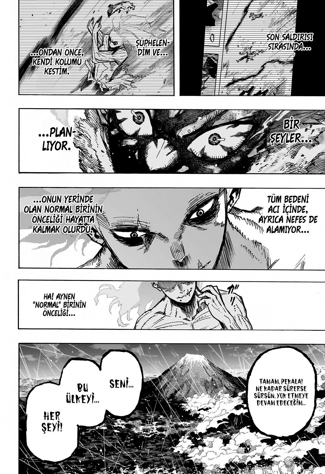 Read My Hero Academia TR Manga Online