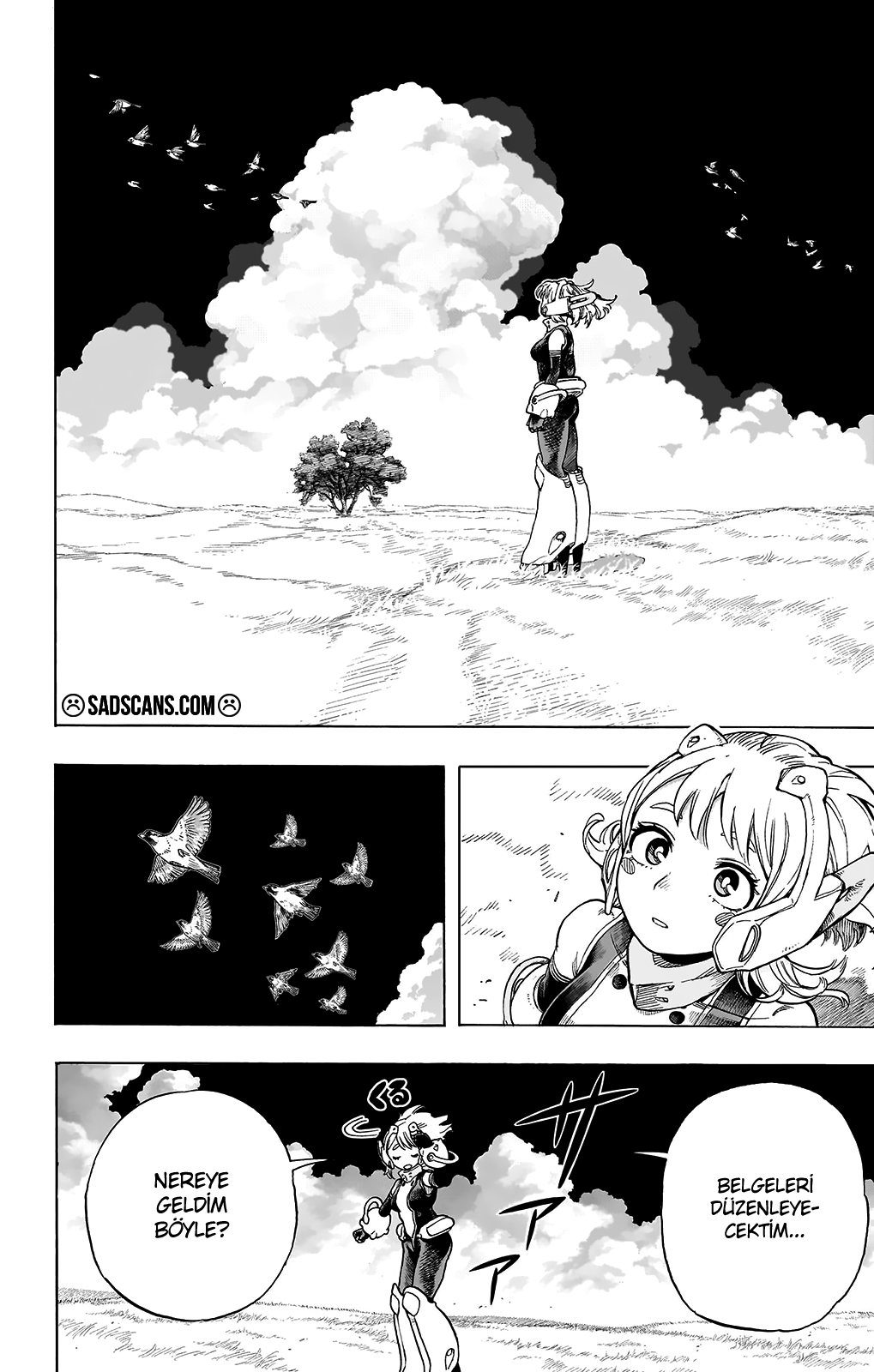 Read My Hero Academia TR Manga Online