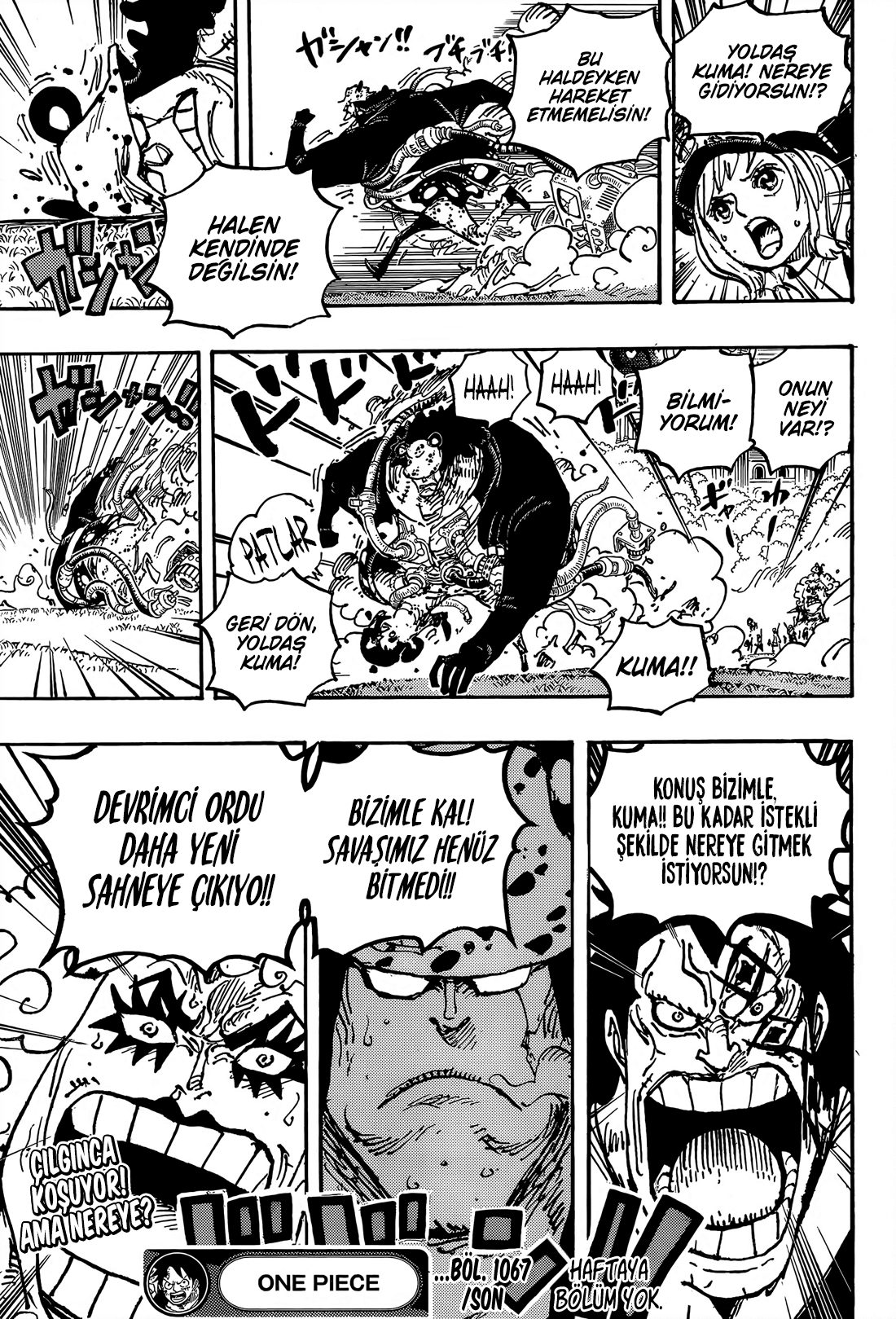 Read One Piece TR Manga Online