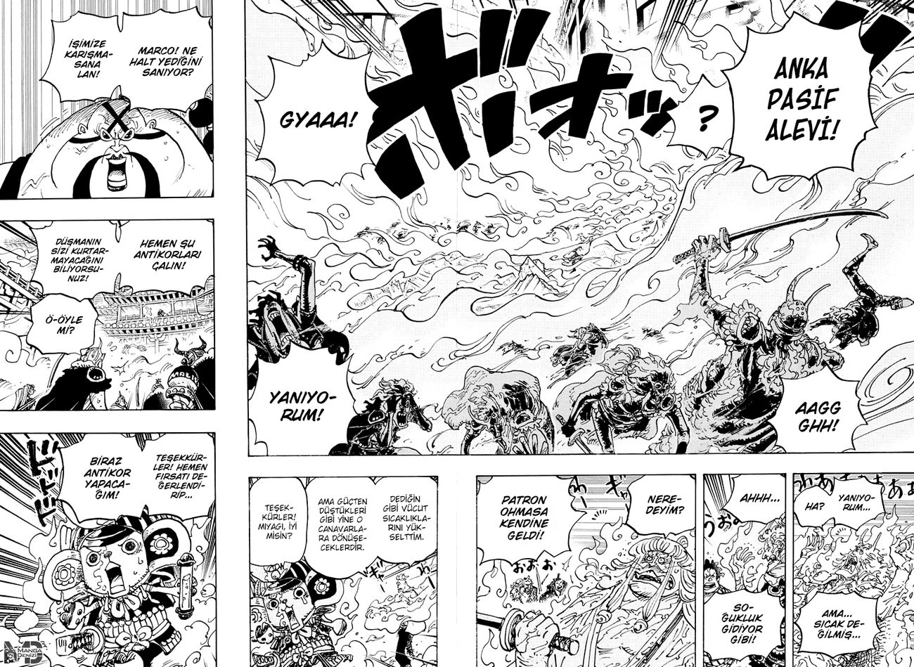 Read One Piece TR Manga Online