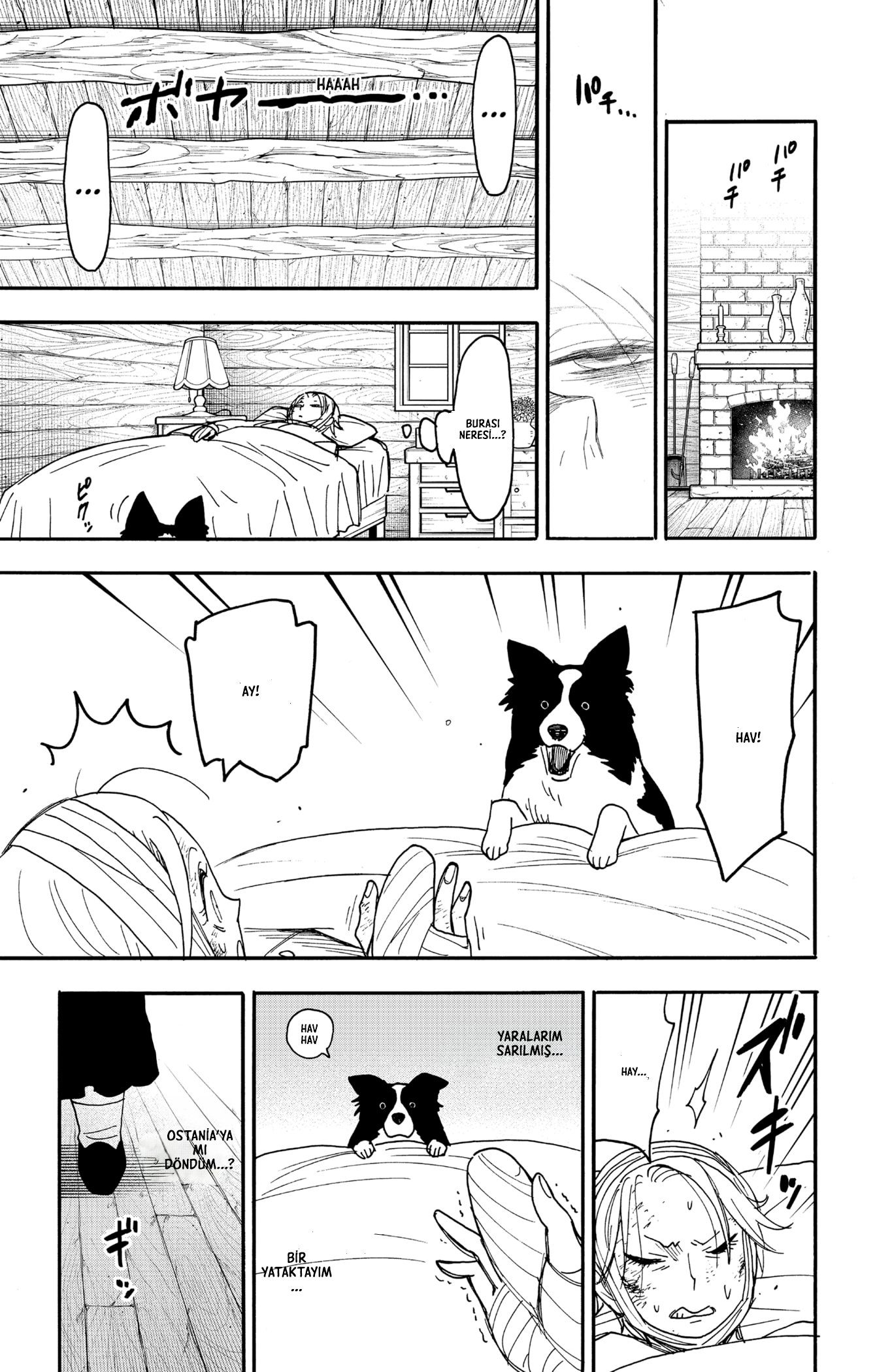 Read SPY X FAMILY TR Manga Online