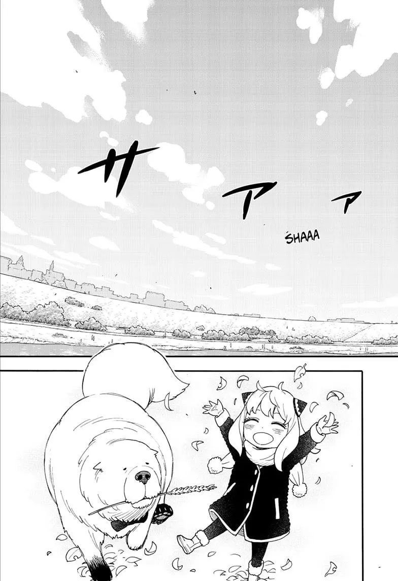 Read SPY X FAMILY TR Manga Online