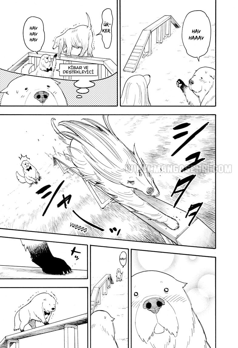 Read SPY X FAMILY TR Manga Online