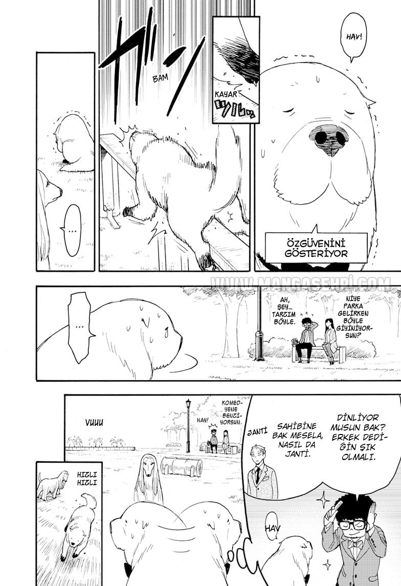 Read SPY X FAMILY TR Manga Online