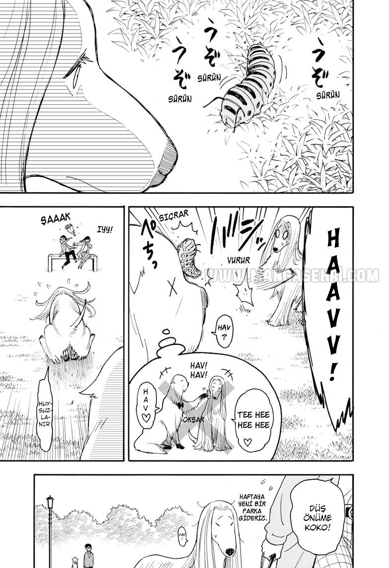 Read SPY X FAMILY TR Manga Online