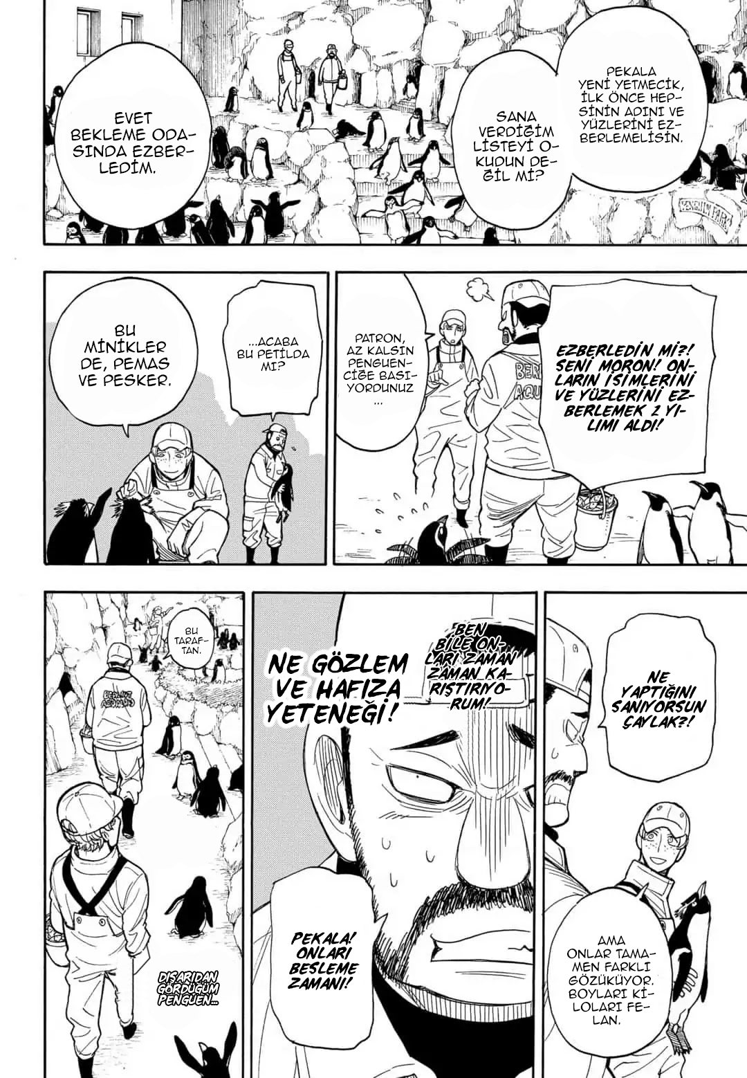Read SPY X FAMILY TR Manga Online