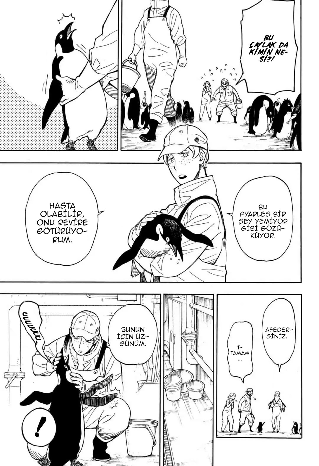 Read SPY X FAMILY TR Manga Online