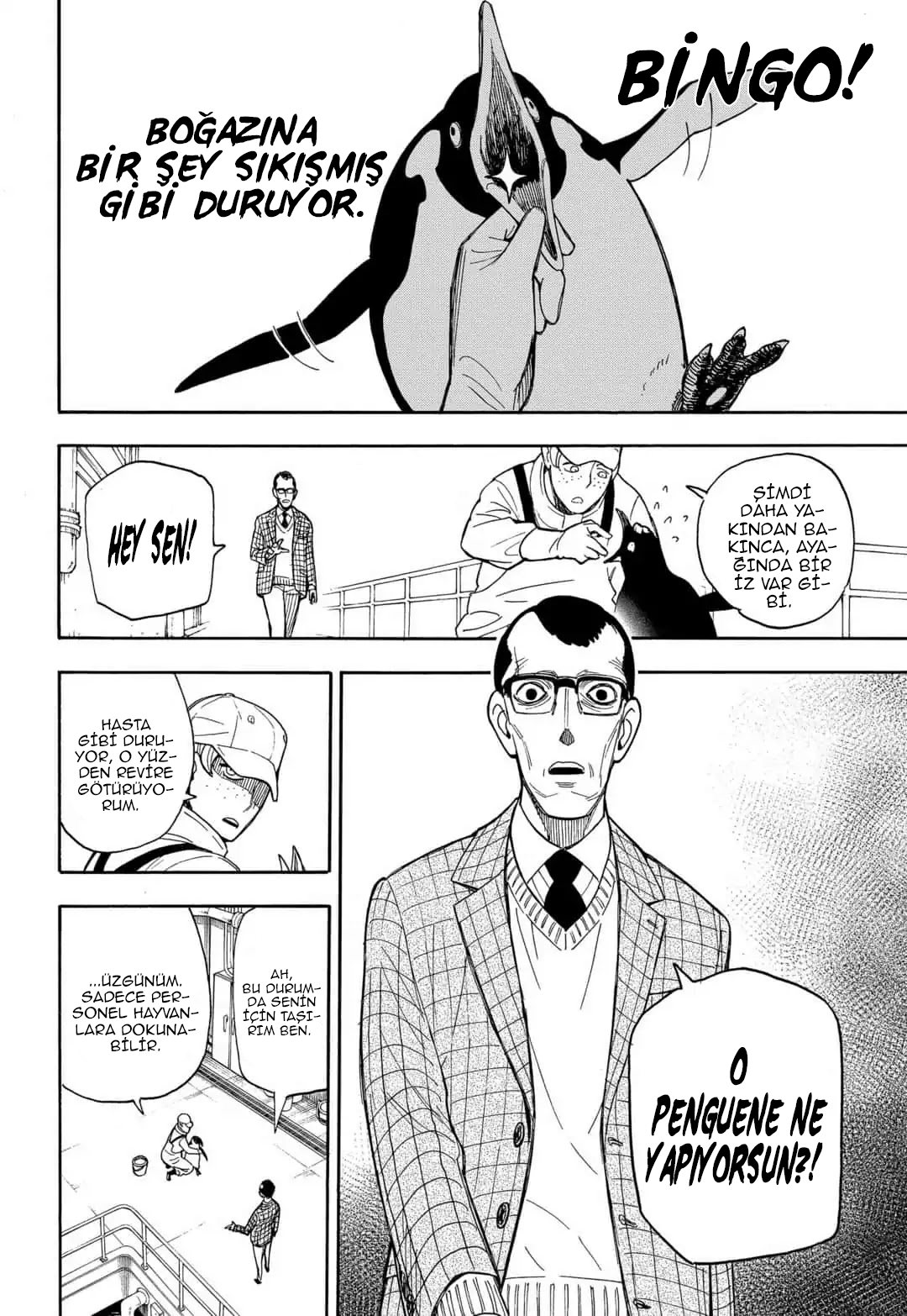 Read SPY X FAMILY TR Manga Online