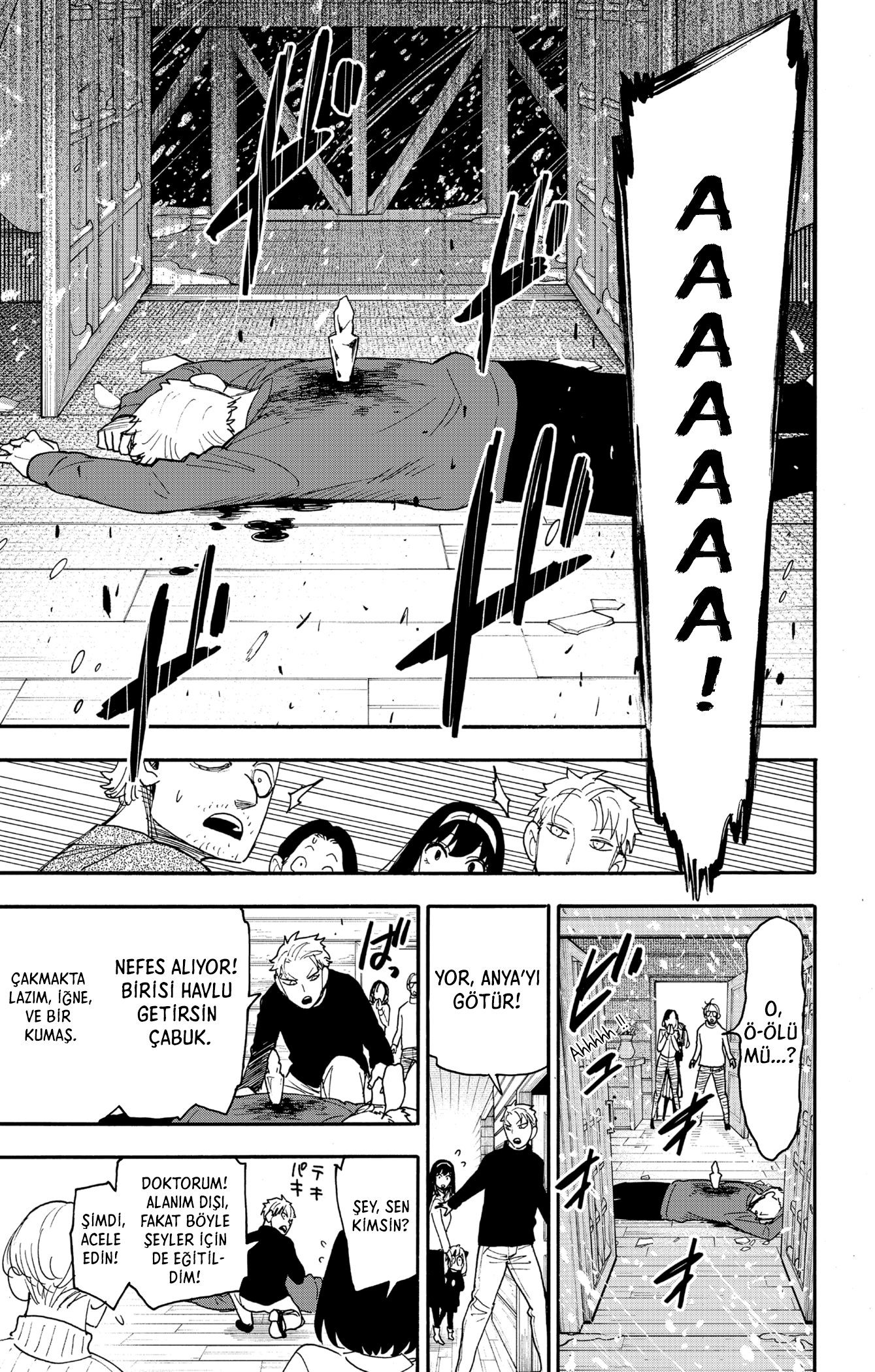 Read SPY X FAMILY TR Manga Online