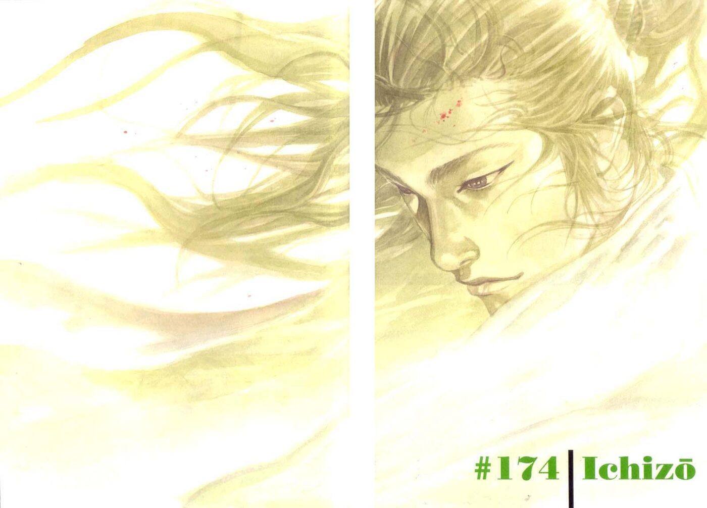 Read Vagabond TR Manga Online