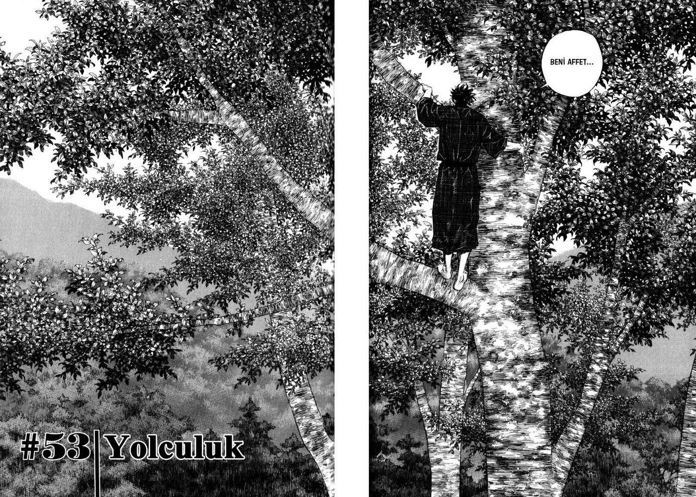 Read Vagabond TR Manga Online